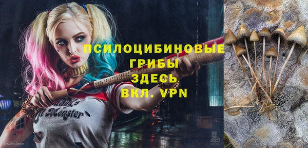 тгк Алзамай