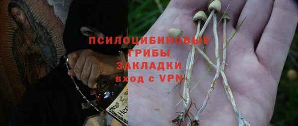 дурь Алексин