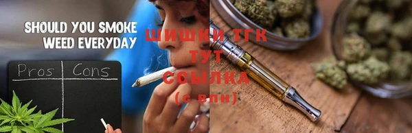 тгк Алзамай