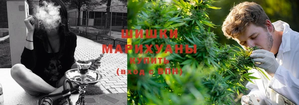стаф Покачи