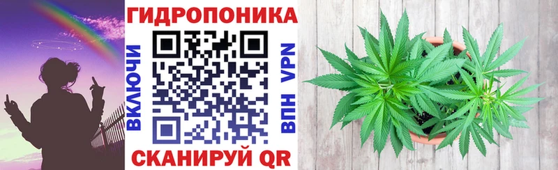 купить наркотики сайты  Осташков  Бошки Шишки Ganja 